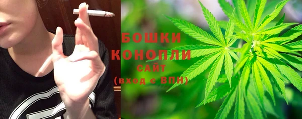 spice Гусев