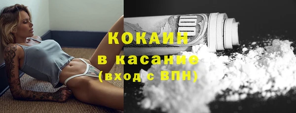 spice Гусев