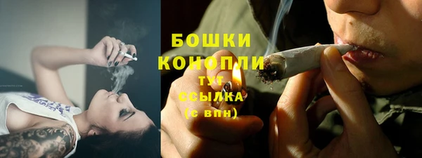 spice Гусев