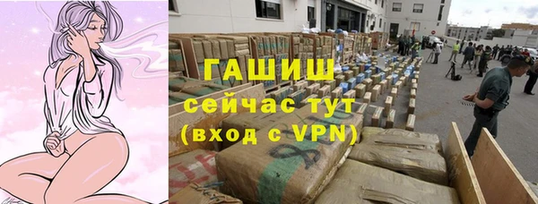spice Гусев