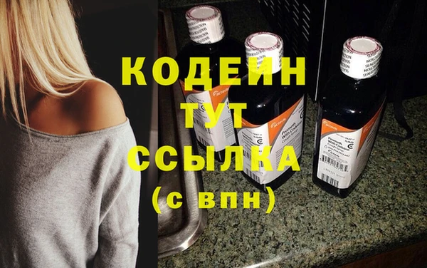 spice Гусев