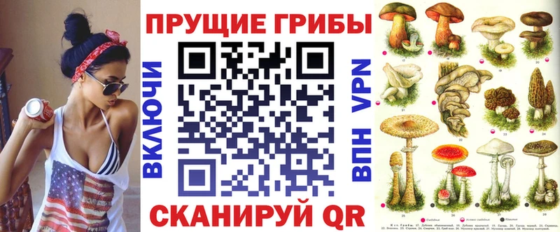 Псилоцибиновые грибы мицелий  Купить  Ковров 